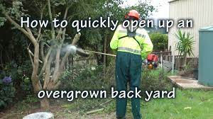 Clearing Back Yard Trees With A Brushdestructor Brushcutter Or Weedeater Blade Backyard Backyard Landscaping Overgrown Yard