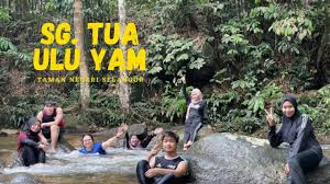 Sungai tua recreational forest sungai tua recreational forest selangor traveller reviews tripadvisor. Sungai Tua Ulu Yam Youtube