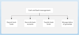I think this might help many people whoever wants to transfer their bank accounts. Cash And Bank Management Microsoft Docs