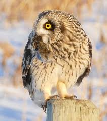 seo-almost done-P4190045