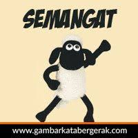 Assalamualaikum, salam sobat semua.kali ini saay mau memberikan beberapa gambar bergerak acungkan jempol lucu untuk kalian semua. 7 Ide Anima Lucu Gambar Lucu Foto Lucu
