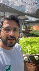 Bruno Palma Hidroponia (@brunopalmahidroponia) • Instagram photos and videos