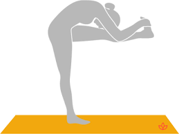 It belongs to the primary ashtanga yoga series and a beginner level pose. Standing Head To Knee Pose Dandayamana Janu Sirsasana Yogapedia