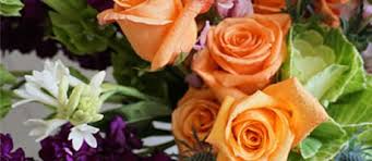 Its the most wonderful time of the year! Raleigh Florist Flower Delivery By Johnson Paschal Floral Company