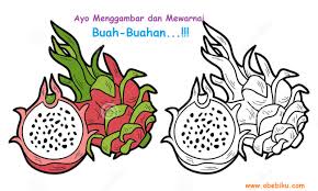 Posting artikel terbaru mengenai kumpulan foto buah buahan terlengkap aneka gambar jenis buah buahan lengkap dapat menjadi referensi bagi pengunjung blog gambar zoom untuk update dp bbm agar tampil beda pp facebook whatsapp atau line. Belajar Mewarnai Gambar Buah Buahan Obebiku