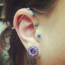 pin by anatometal on anatometal fan photos ear piercings body piercings piercings