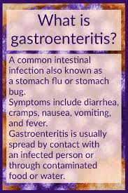 With gastroenteritis, your stomach and intestines are irritated and inflamed. 47 Gastroenteritis Stomach Bug Ideas Gastroenteritis Stomach Bug Stomach