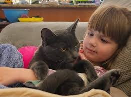 Karen Masel's Instagram, Twitter & Facebook