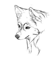 Husky first appeared in siberia at the beginning of the 17th century: Face Realistic Husky Coloring Pages Husky Drawing Puppy Coloring Pages Anime Puppy