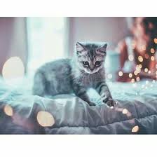 Widescreen & ultrawide desktop & laptop. 56 Islamic Wallpaper Ideas Islamic Wallpaper Islamic Art Islamic Art Calligraphy