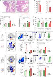 Wnt B Catenin Activation Epigenetically Reprograms T Reg Cells In Inflammatory Bowel Disease And Dysplastic Progression Nature Immunology