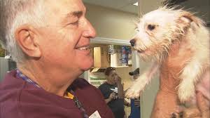 Extraordinary Ordinary: 'Surgery snuggler' comforts rescue dogs