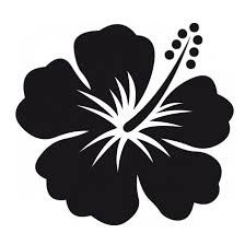 24+ bunga png images for your graphic design, presentations, web design and other projects. Fleur Hibiscus Png Transparent Images Free Free Png Images Vector Psd Clipart Templates