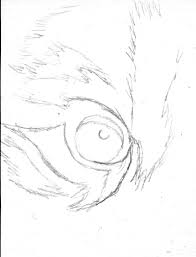Draw a mirror image on the opposite side. Drawing Realistic Tiger With Pencil Eyes
