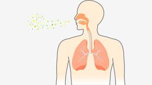 Maybe you would like to learn more about one of these? Pneumonia Symptoms And Causes Everyday Health