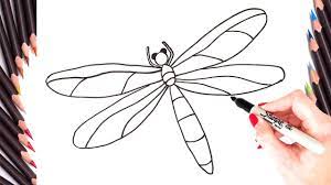 105 757 просмотров 105 тыс. How To Draw A Dragonfly Step By Step Easy Dragonfly Drawing Tutorial Youtube
