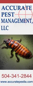 Green Pest Solutions Home Facebook