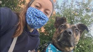 Adopt german shepherd dogs in maine. Service Dogs Give Sexual Assault Survivors In Maine Second Chance Newscentermaine Com