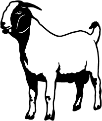 Black And White Goat Images Clip Art Goat Clip Art Images Black And White 2019 Boer Goats Goats Silhouette Clip Art