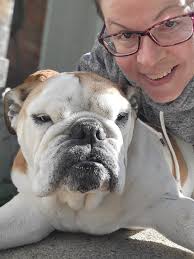 Penny The English Bully Baby