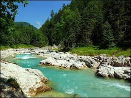 Osterreich Tirol Vomp Geniesse Den Anblick Des Kuhlen Rissbach Tirol Osterreich