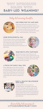 All The Amazing Benefits Of Baby Led Weaning Led Weaning Baby Led Weaning Recipes Baby Led Weaning
