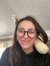 Male bci boa constrictor and female khal sunglow. Male will need a bigger  tank and a diet as he's a machine, based in south wales Cardiff (Barry)