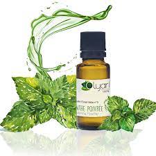 Connue pour ses propriétés stimulantes et revigorantes, l'huile essentielle de menthe poivrée permet également de lutter contre les maux de. Lumbago Mal De Dos Et Dos Bloque Les Huiles Essentielles A Utiliser Olyaris
