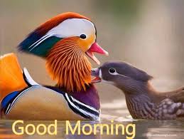 Check spelling or type a new query. Good Morning Have Faith On God Blessings Quotes Good Morning Fun