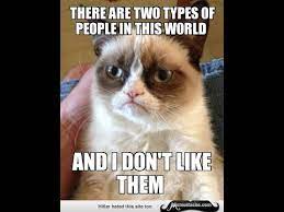 Maybe you would like to learn more about one of these? Grumpy Cat Meme Youtube