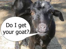 The Bizarre Origins Of English Idioms English Idioms Goats Idioms
