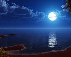 blue moon wallpaper wallpaper wide hd ocean at night beach at night nature wallpaper blue moon wallpaper wallpaper wide hd