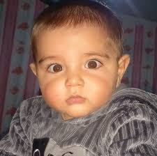 Profile for Ahmadullah Phn