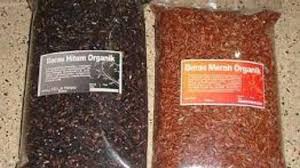 1 buah ketupat biasanya memiliki berat 103gr dan berat 1 buah lontong biasanya 90gr berdasarkan nilai gizinya 100gr ketupat mengandung energi 160kkal, 2.42gr lemak, protein 3.217gr, dan 30.36gr karbohidrat. Beras Merah Vs Beras Hitam Mana Yang Lebih Baik Warta Kota