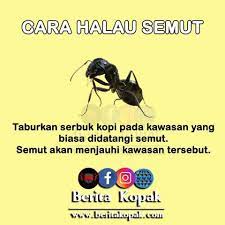 Terutamanya jika semut mula menghurung makanan anda atau. Cara Menghalau Ular Semut Demi Rakyat Johor Facebook