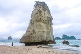 New zealand was isolated from the rest of the world for a long time. 30 Grunde Neuseeland Zu Lieben Tipps Besondere Neuseeland Highlights Passenger On Earth