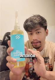 All-Purpose Cleaner for Car and Chair Interiors