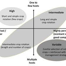 There is also the risk of a certain crop yield not being successful, and. Effectiveness Of Crop Rotation In Disease Management Depending On Download Scientific Diagram