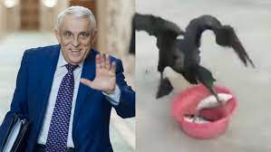 VIDEO | D-aia continuă războiul cormoranilor | Digi24