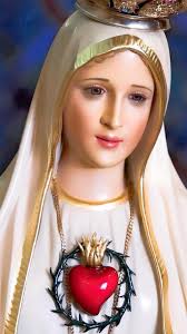 Hail Mary, Full of Grace, The Lord is with thee. Blessed art thou among  women, and blessed is the fruit of thy womb, Jesus. Holy Mary, Mother of  God, pray for us