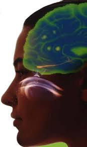 Pérdida del sentido del olfato: profundizando en su epidemiología, causas  rinosinusales y posibilidades terapéuticas