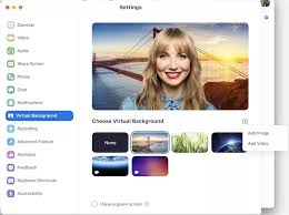 How To Change Your Zoom Background In 2020 Zoom Cloud Meetings Background Virtual