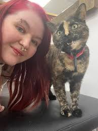 Smudge just came in for a visit but didn't fancy getting any piercings 😂  my favourite client of the day!