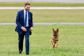 Dogs' lives: Meet J.D. Vance and Tim Walz's canine campaigners