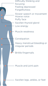 Hypothyroidism A Closer Look