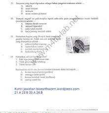 Maybe you would like to learn more about one of these? Soal Materi Arthropoda Dan Jawaban Jawabanku Id