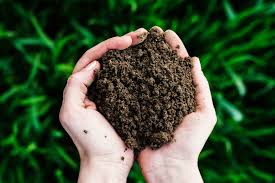 Mow or weedeat the grass and weeds in the area as low as possible., place overlapping sections of newspaper or corrugated cardboard over the entire area. Organic Gardening Easy Steps To Make Compost At Home By Archana S Kitchen