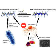 We did not find results for: Biology Dna Mutation Simulation Answer Key Gript A Novel Case Control Analysis Method For Mendelian Disease Gene Discovery Genome Biology Full Text 14 Mb Human Impact Review 1