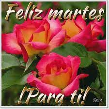 cosas lindas encontrdas en la web [Video] | Certificate design, Rose  images, Beautiful roses