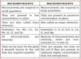 Understanding the difference between the two can make all the difference when establishing good nutritional habits. Difference Between Micronutrients And Macronutrients